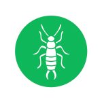 WhatsApp Image 2025-10-07 at 2.54.53 PM (4)