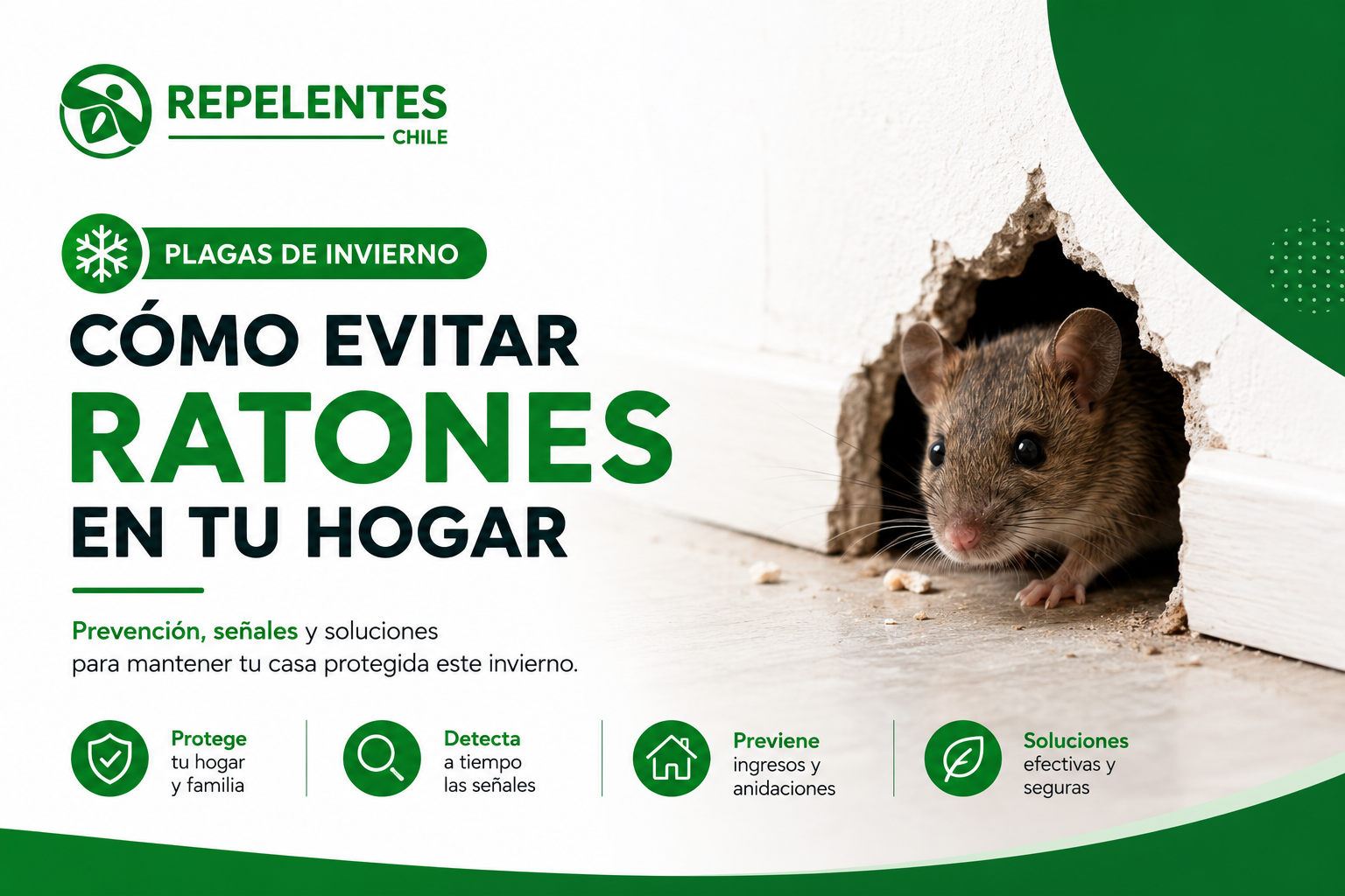 Plagas de Invierno: Cómo Evitar Ratones en Tu Hogar